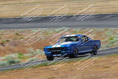 media/May-14-2023-Cobra Club (Sun) [[e55caaa618]]/Yellow Group/Afternoon Session Turn 2b/